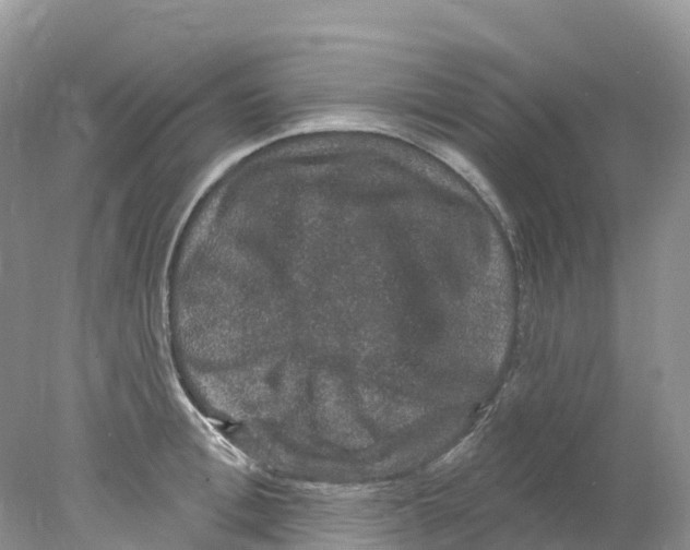 X0000078030996200611251551