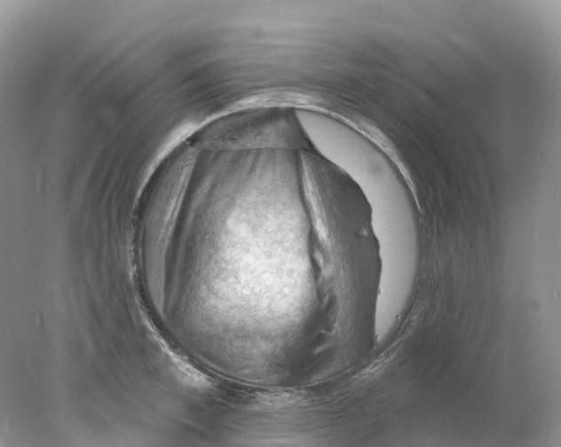 X0000078030997200611251551