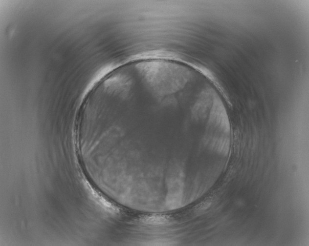 X0000078030998200611251551