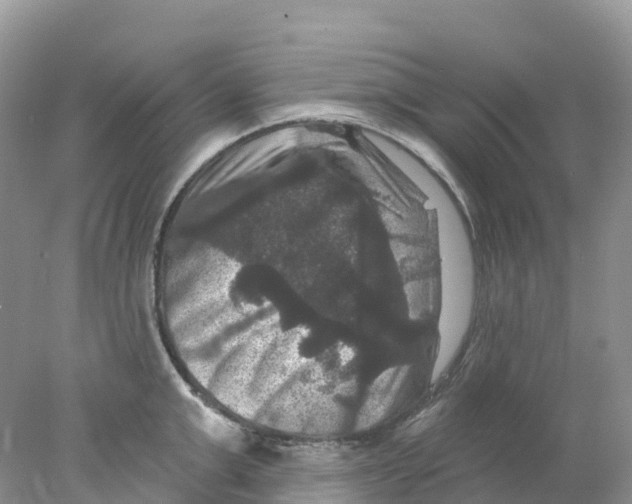 X0000078030999200611251551