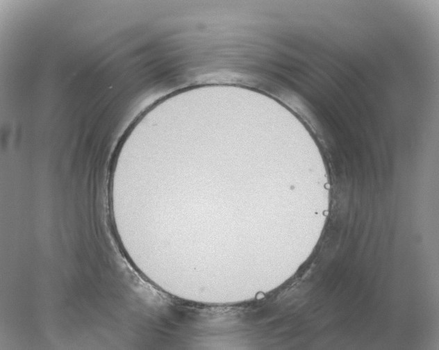 X0000078031000200611251551