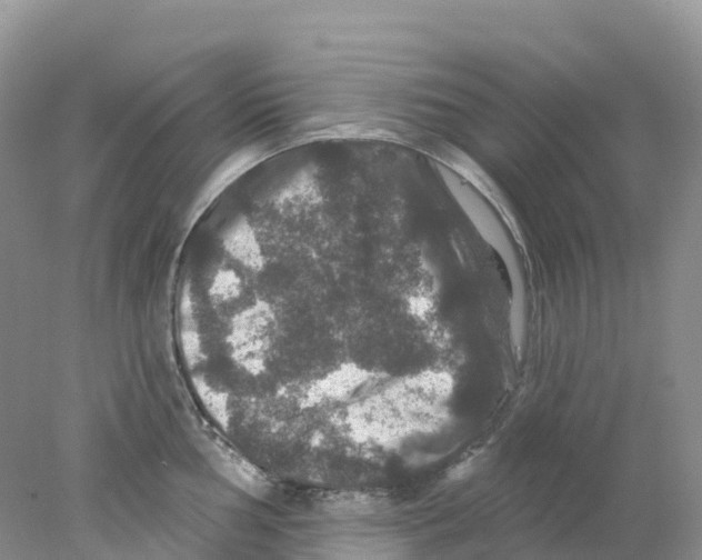 X0000078031002200611251551