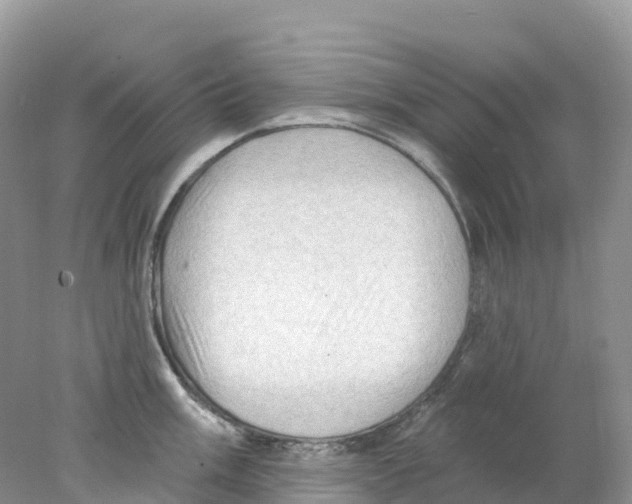 X0000078031003200611251551