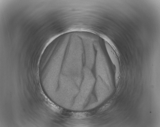 X0000078031004200611251551