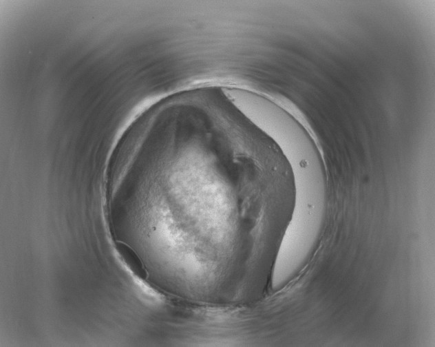 X0000078031005200611251551