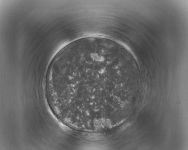 X0000078031007200611251551