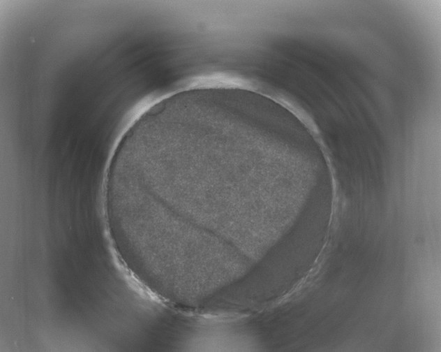 X0000078031008200611251551