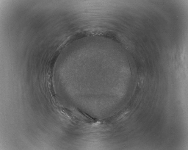 X0000078031010200611251550