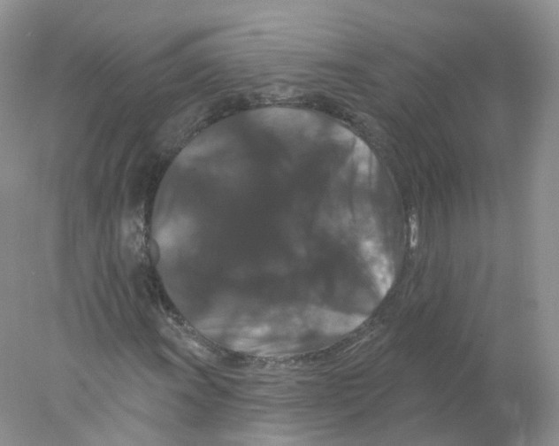 X0000078031011200611251550