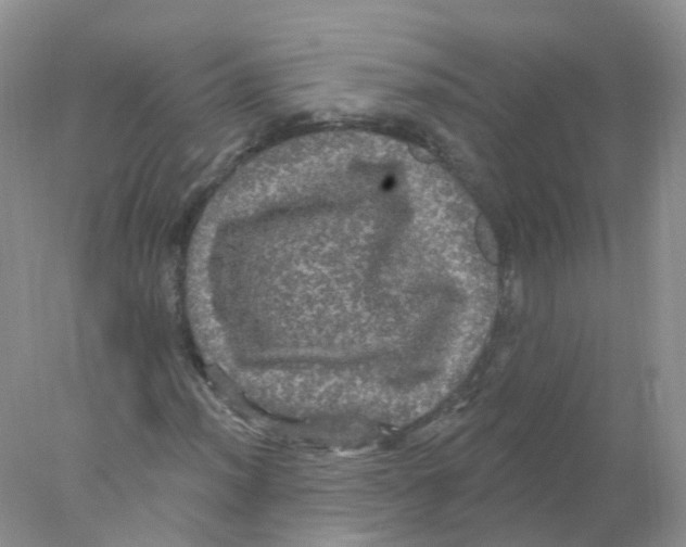 X0000078031012200611251550