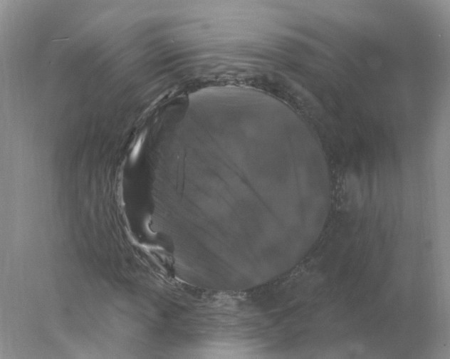 X0000078031013200611251550