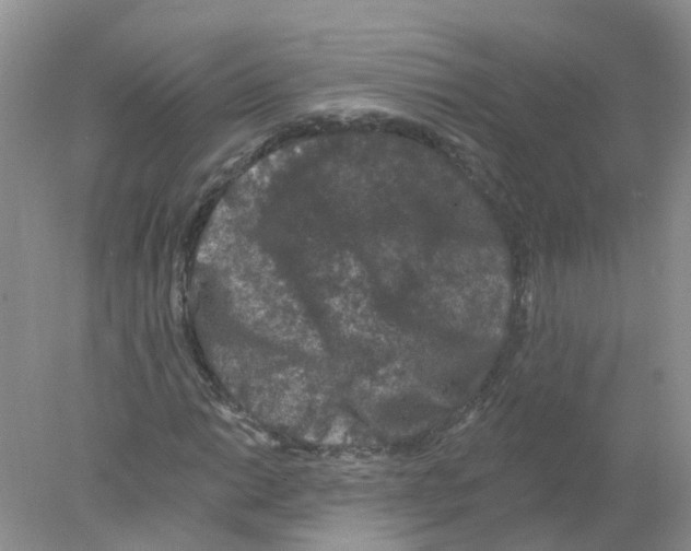 X0000078031014200611251550