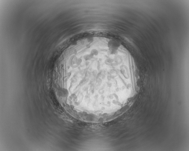 X0000078031015200611251550