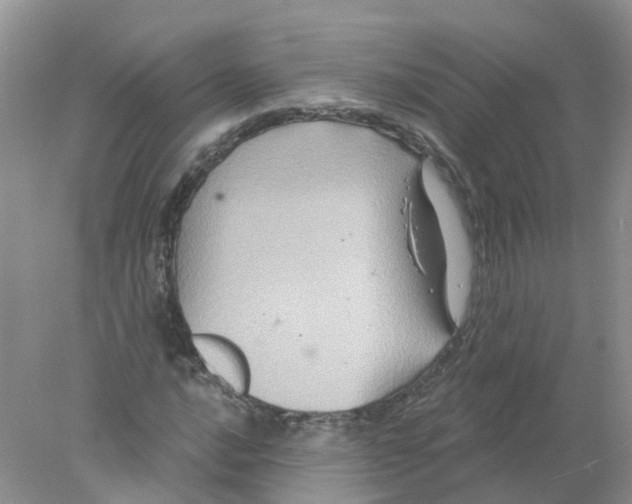 X0000078031016200611251550