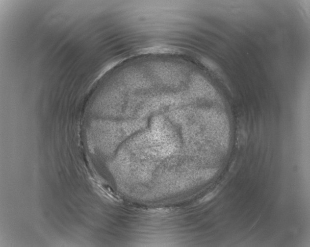 X0000078031017200611251550