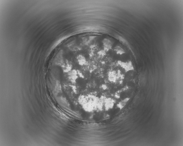 X0000078031019200611251550