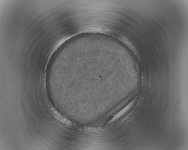 X0000078031020200611251550