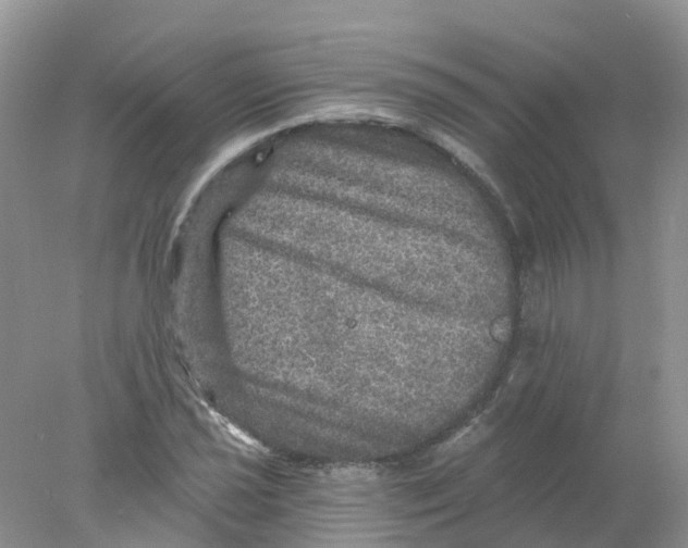 X0000078031021200611251550