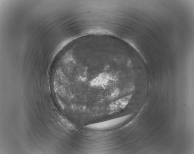 X0000078031022200611251550