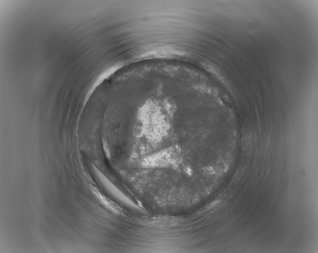 X0000078031026200611251550