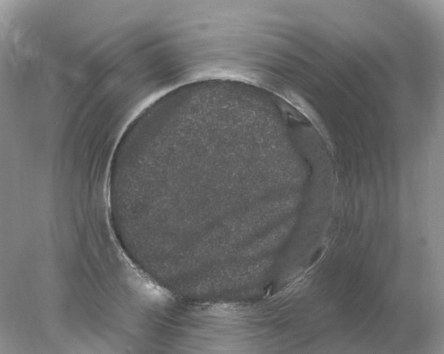 X0000078031028200611251550