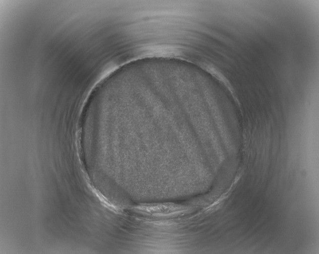 X0000078031029200611251550