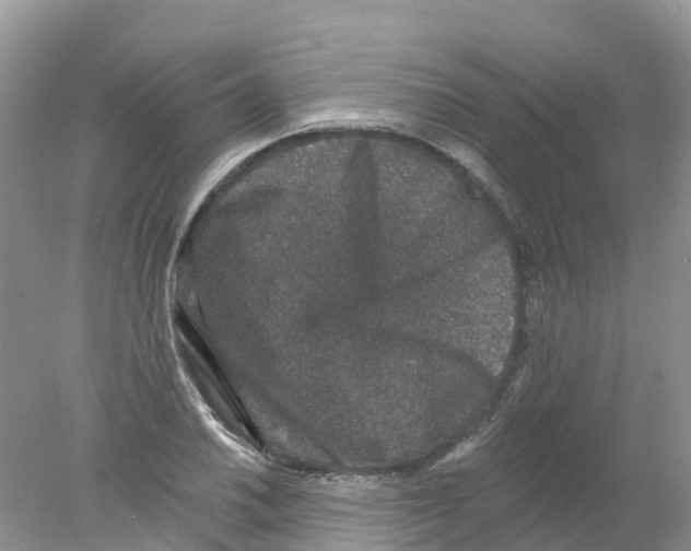 X0000078031030200611251550