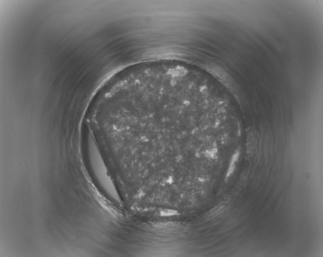 X0000078031031200611251550