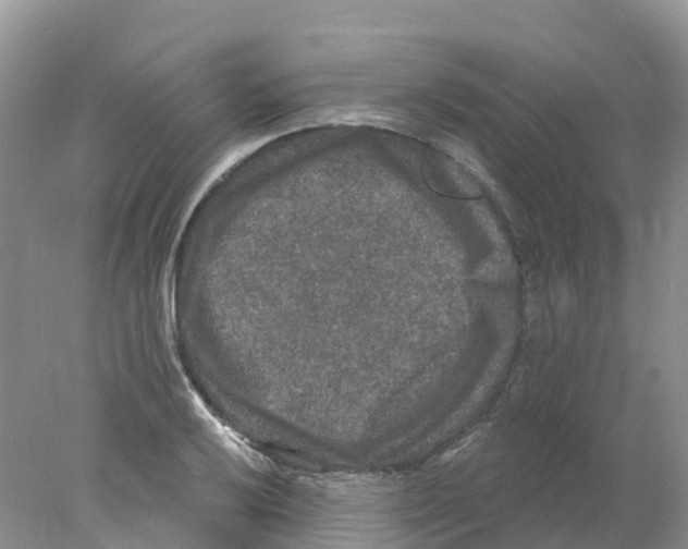 X0000078031032200611251550