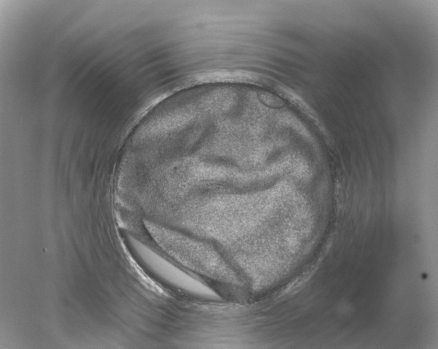 X0000078031033200611251550