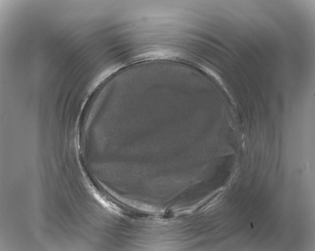 X0000078031034200611251550