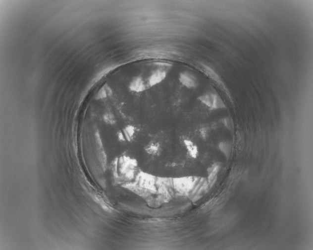 X0000078031035200611251550