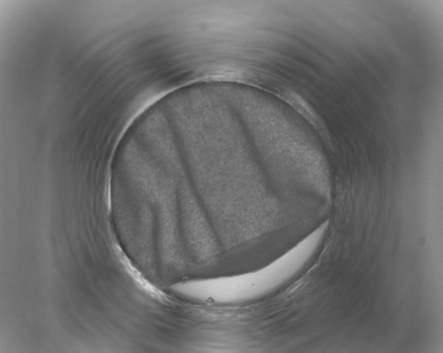 X0000078031036200611251550