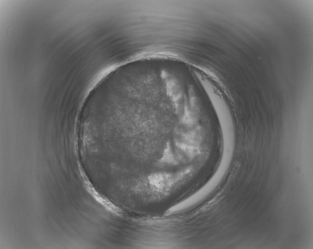 X0000078031038200611251550