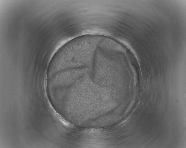 X0000078031040200611251550