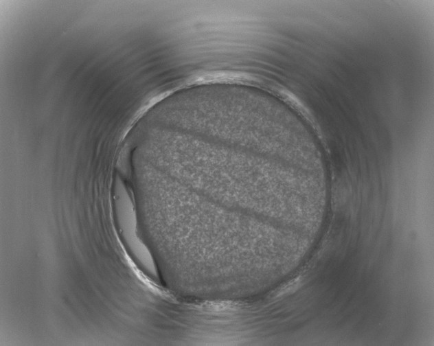 X0000078031041200611251550