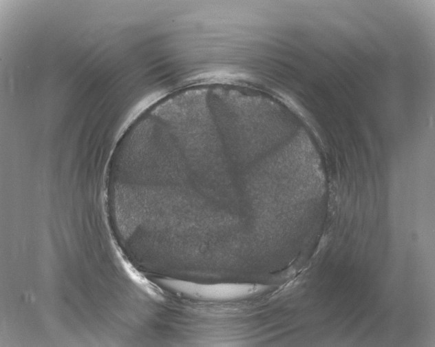 X0000078031042200611251550