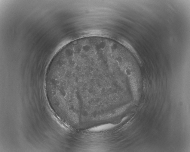 X0000078031043200611251550