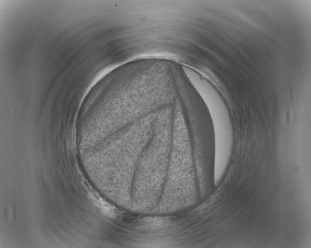 X0000078031044200611251550