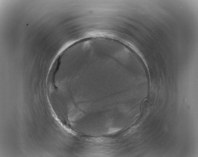 X0000078031045200611251550