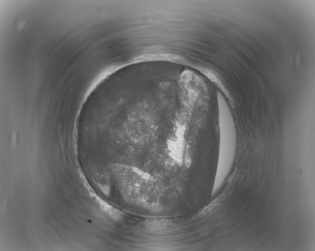 X0000078031046200611251550