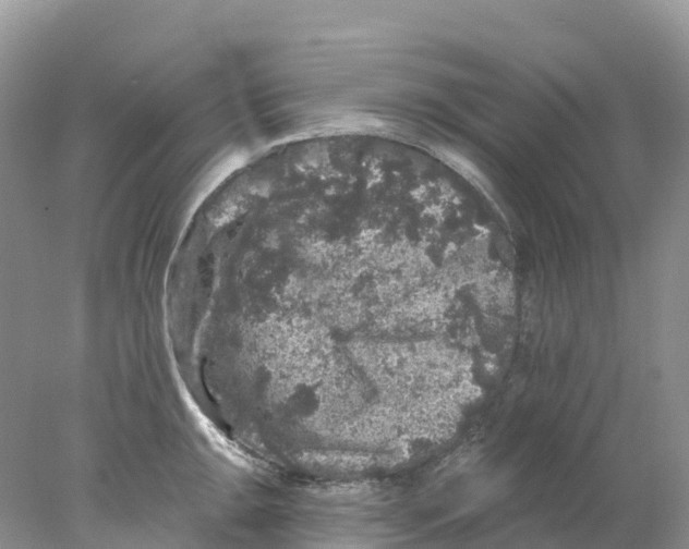 X0000078031047200611251550