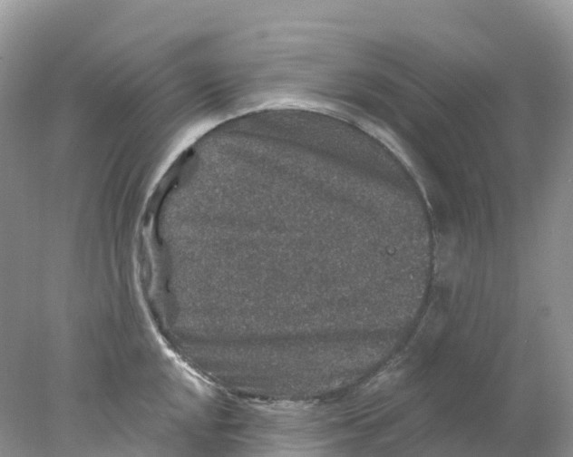 X0000078031048200611251550