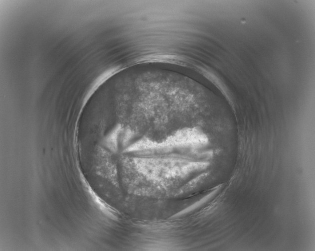 X0000078031050200611251550