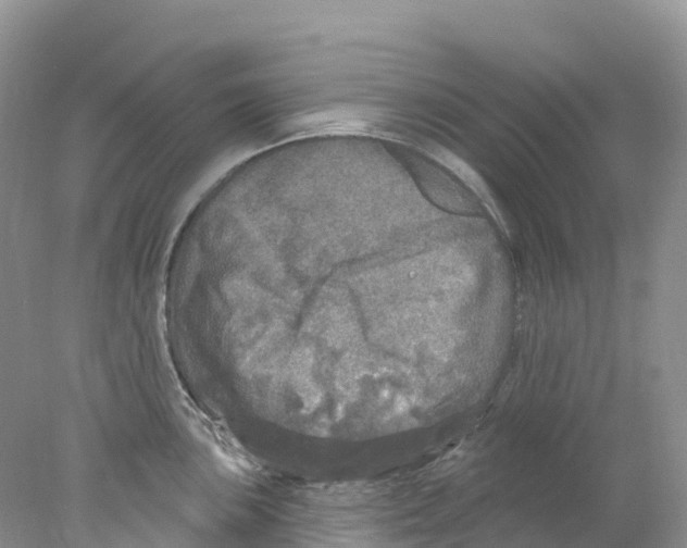 X0000078031051200611251550