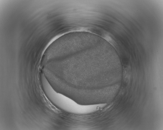 X0000078031052200611251550