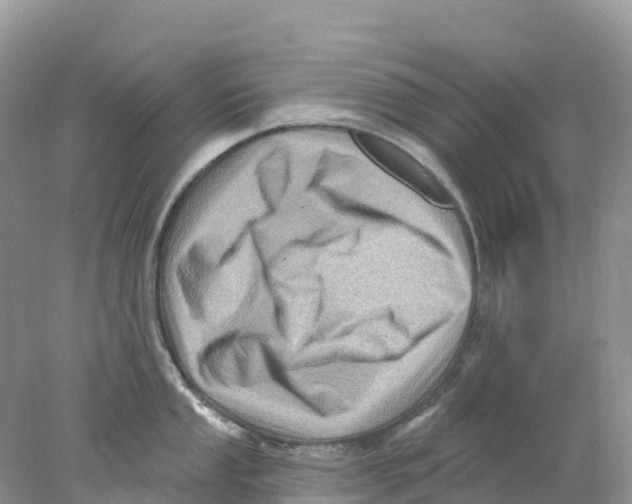 X0000078031053200611251550