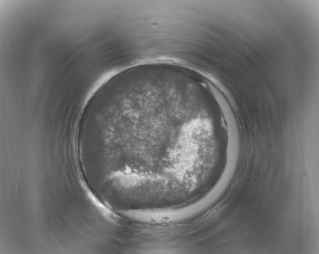 X0000078031054200611251550