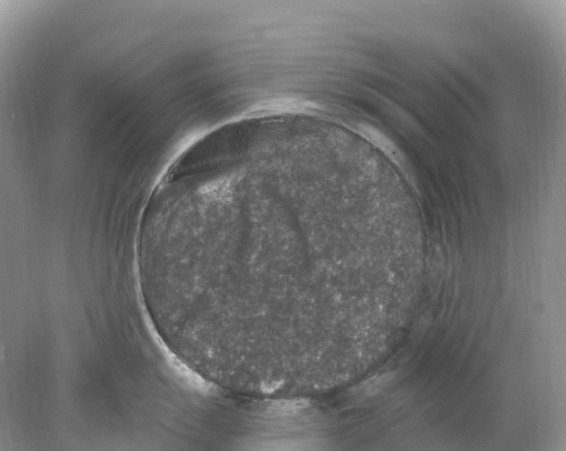 X0000078031055200611251550