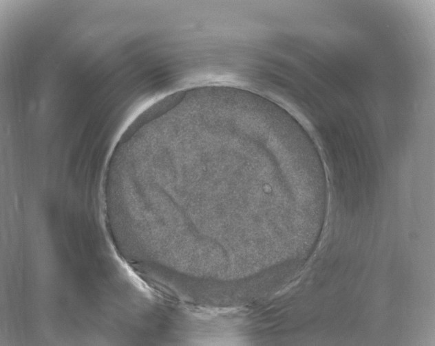 X0000078031056200611251550